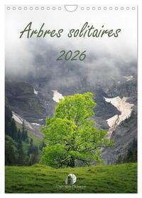 Picture of Arbres solitaires (Calendrier mural 2026 DIN A4 horizontal), CALVENDO calendrier mensuel