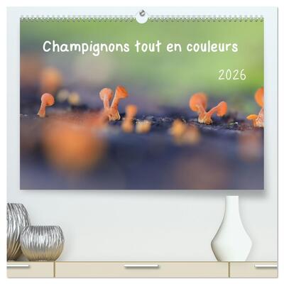 Image de Champignons tout en couleurs  (Calendrier mural 2026 DIN A2 vertical) calendrier de bureau