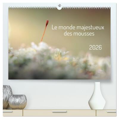 Picture of Le monde majestueux des mousses  (Calendrier mural 2026 DIN A2 vertical) calendrier de bureau