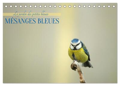 Picture of Mésanges bleues (Calendrier de bureau 2027 DIN A5 vertical), CALVENDO calendrier mensuel