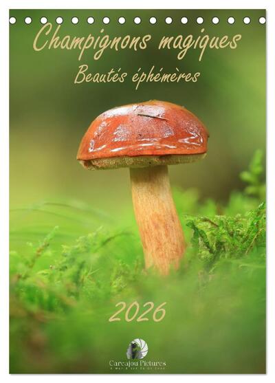 Image de Champignons magiques - Beautés éphémères (Calendrier de bureau 2026 DIN A5 horizontal), CALVENDO calendrier mensuel