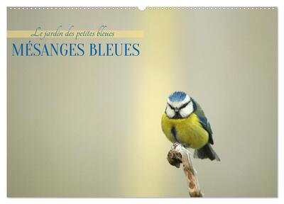 Picture of Mésanges bleues (Calendrier mural 2027 DIN A2 vertical), CALVENDO calendrier mensuel