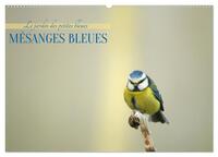 Picture of Mésanges bleues (Calendrier mural 2027 DIN A2 vertical), CALVENDO calendrier mensuel