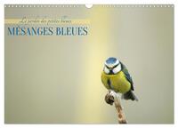 Picture of Mésanges bleues (Calendrier mural 2027 DIN A3 vertical), CALVENDO calendrier mensuel