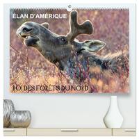 Picture of ÉLAN D'AMÉRIQUE - ROI DES FORÊTS DU NORD  (Calendrier mural 2026 DIN A2 vertical) calendrier de bureau