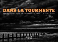 Picture of DANS LA TOURMENTE
