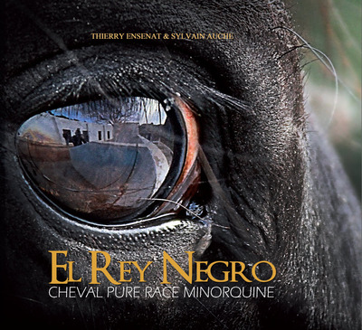 Image de EL REY NEGRO : CHEVAL PURE RACE MINORQUINE