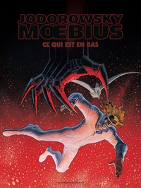 Picture of L'Incal - 30*40 T3 noir et blanc : Ce qui est en bas