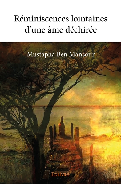 Picture of Réminiscences lointaines d'une âme déchirée