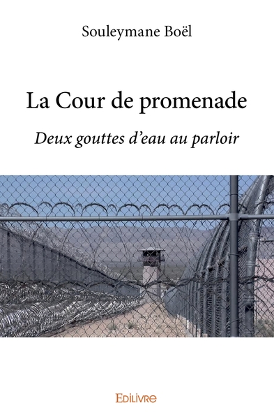 Picture of La Cour de promenade