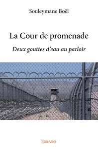 Picture of La Cour de promenade