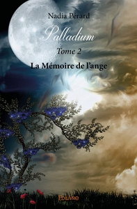 Image de Palladium - Tome 2