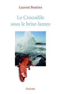 Image de Le crocodile sous le brise lames
