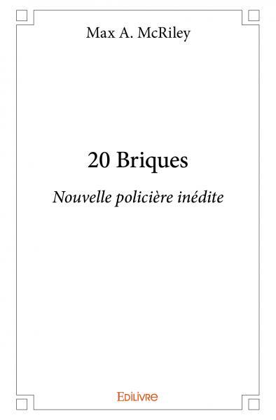 Image de 20 briques