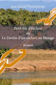 Picture of Petit fils d’esclave ou le destin d’un esclave au moogo