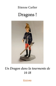 Picture of Dragons !