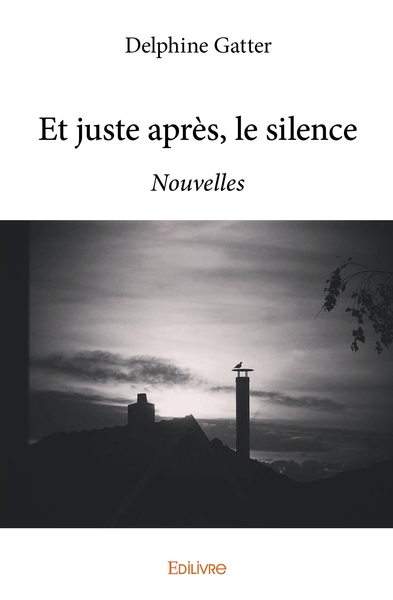 Image de Et juste après, le silence