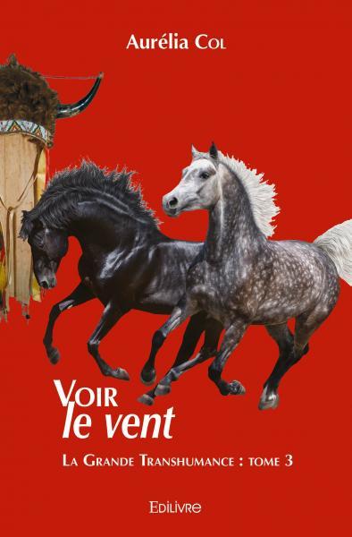 Picture of Voir le vent