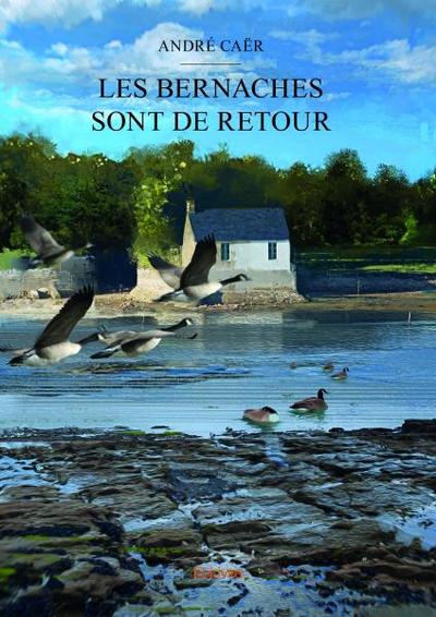 Picture of Les bernaches sont de retour