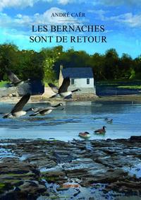 Picture of Les bernaches sont de retour