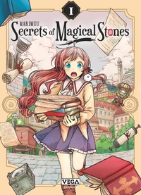 Image de Secrets of Magical Stones - Tome 1