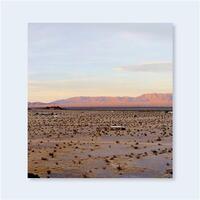 Picture of John Divola Isolated Houses /anglais