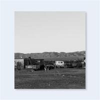 Picture of John Divola  Dogs Chasing My Car in the Desert /anglais
