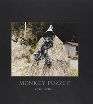 Image de Yoko Ikeda Monkey Puzzle /anglais