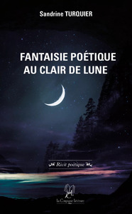 Image de Fantaisie poétique au clair de lune