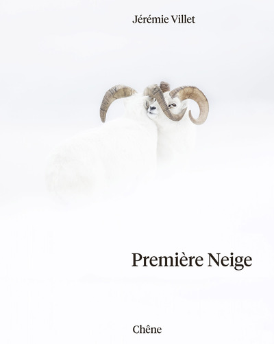 Picture of Première neige