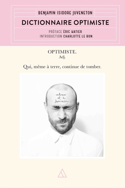 Picture of Dictionnaire optimiste