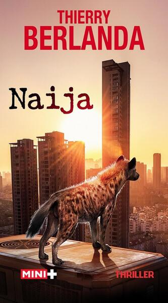 Image de Naija