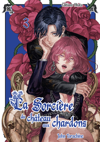 Image de La sorcière du château aux chardons - Tome 3