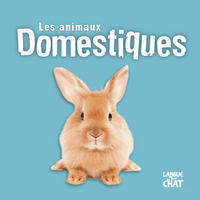 Picture of Mes animaux domestiques