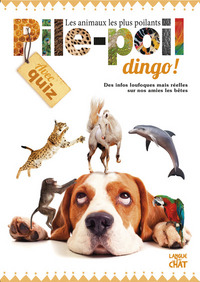 Image de Pile-poil dingo ! Les animaux les plus poilants