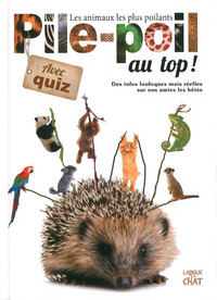 Image de Pile-poil au top !