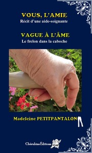 Picture of Vous, l'amie (Récit d'une aide-soignate) - Vague à l'âme (Le frelon dans la caboche)