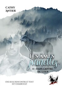 Image de Les âmes jumelles