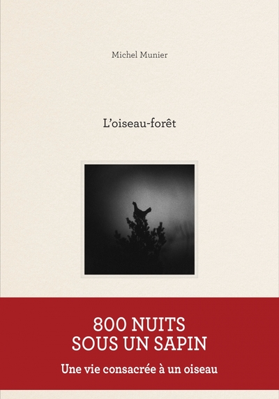 Picture of L'oiseau-forêt