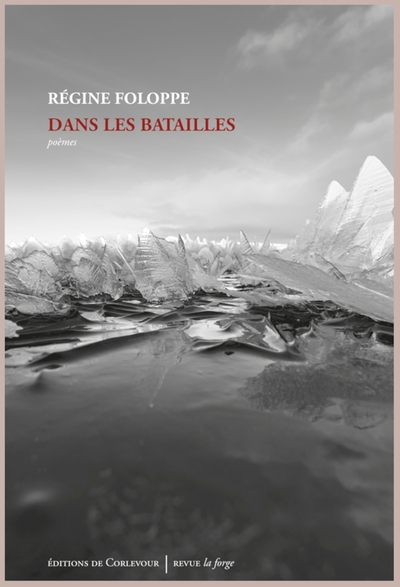 Picture of Dans les Batailles