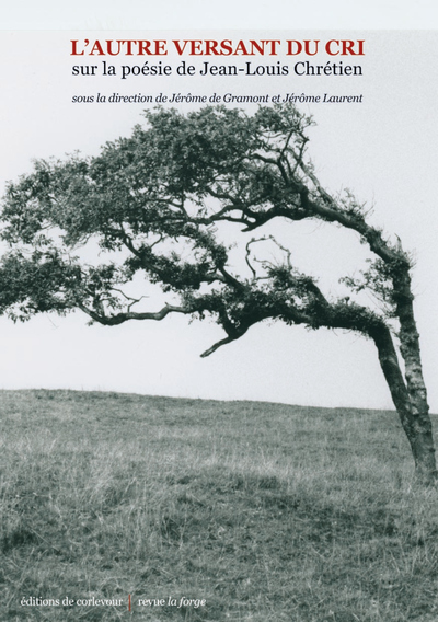 Picture of L'autre versant du cri