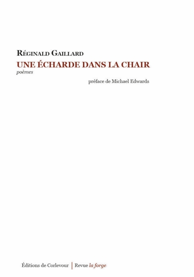 Image de Une écharde dans la chair