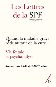 Image de LES LETTRES DE LA SPF N.43/2020