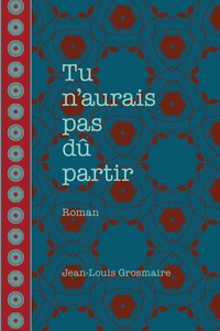 Image de Tu n'aurais pas dû partir
