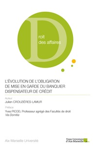 Picture of L'évolution de l'obligation de mise en garde du banquier dispensateur de crédit