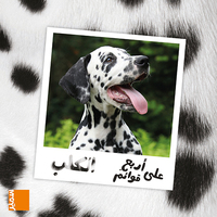 Picture of Le chien (arabe)