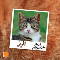 Picture of Le chat (arabe)