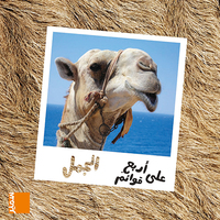 Picture of Le dromadaire (arabe)