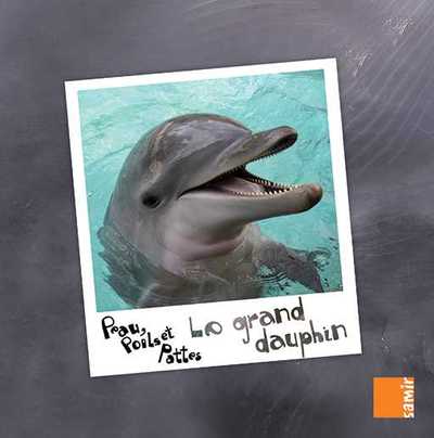 Image de Le grand dauphin