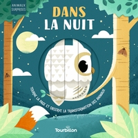 Picture of Dans la nuit